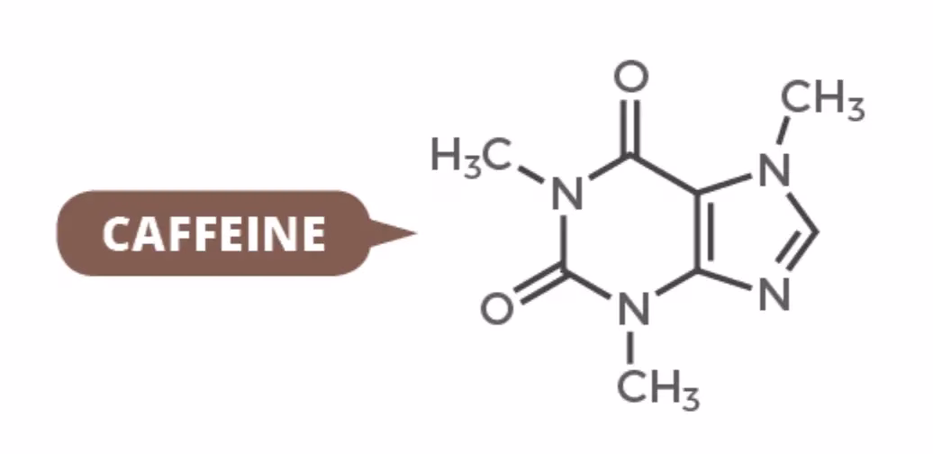 Cafeïnevrije koffie: alles wat je moet weten