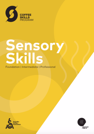 SCA-Sensory-Skills